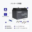 画像7: ヒート機能付き Pro シリーズ 12V 100Ahスマートリン酸鉄リチウムイオンバッテリー Bluetooth内蔵 (7)